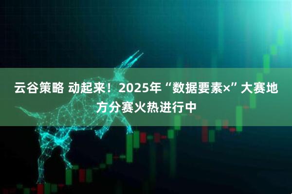 云谷策略 动起来！2025年“数据要素×”大赛地方分赛火热进行中