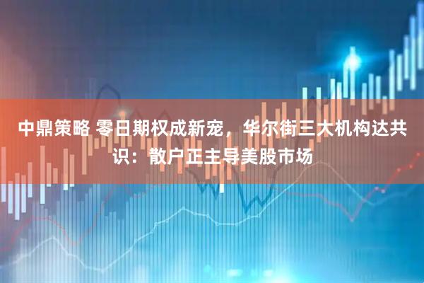中鼎策略 零日期权成新宠，华尔街三大机构达共识：散户正主导美股市场