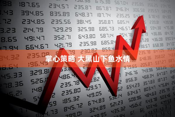 掌心策略 大黑山下鱼水情