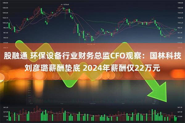 股融通 环保设备行业财务总监CFO观察：国林科技刘彦璐薪酬垫底 2024年薪酬仅22万元