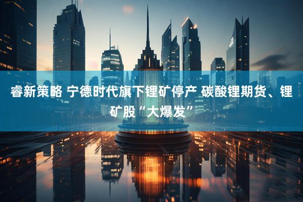 睿新策略 宁德时代旗下锂矿停产 碳酸锂期货、锂矿股“大爆发”