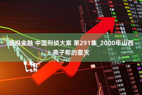 亚投金融 中国刑侦大案 第291集_2000年山西燕子帮的覆灭
