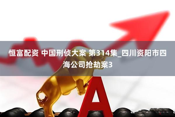 恒富配资 中国刑侦大案 第314集_四川资阳市四海公司抢劫案3