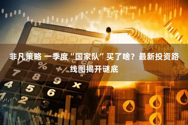 非凡策略 一季度“国家队”买了啥？最新投资路线图揭开谜底