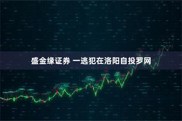 盛金缘证券 一逃犯在洛阳自投罗网